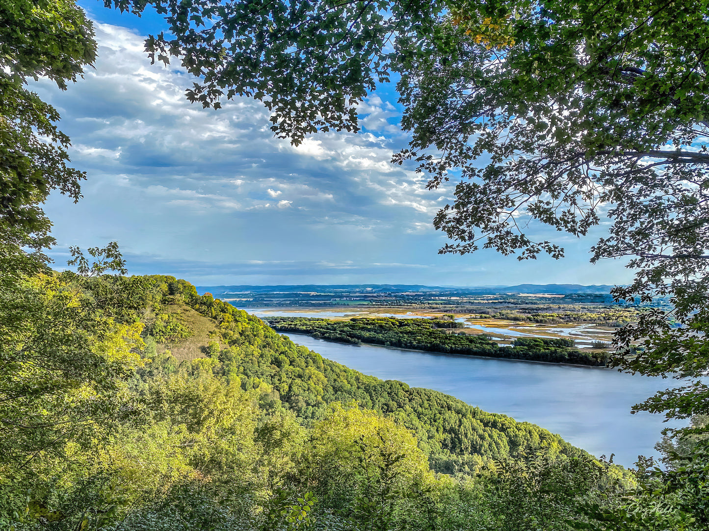 Summer on the Bluffs