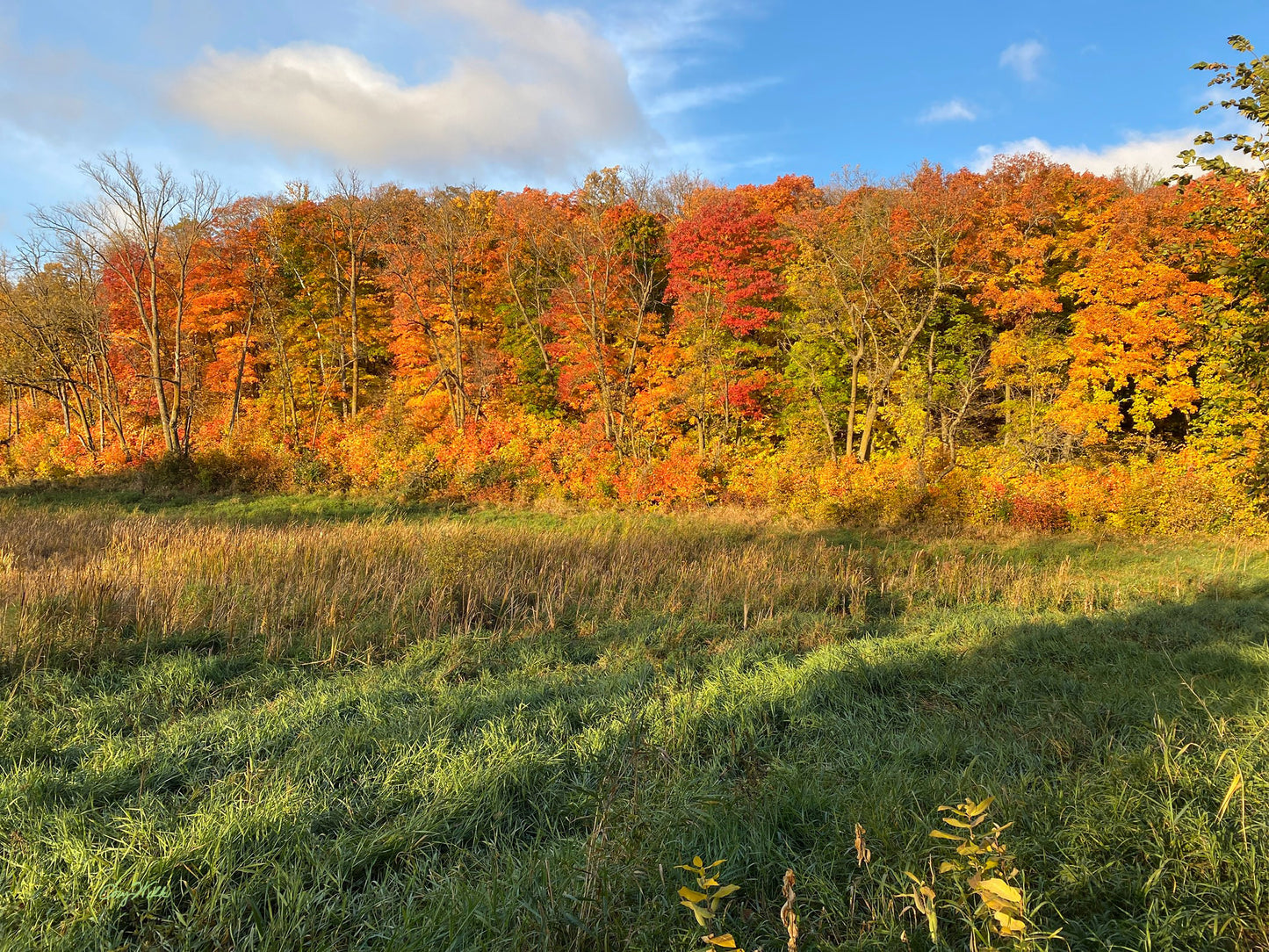 Autumn Palette