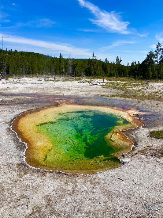 thermal pool, or fumerole, in the great Yellowstone National Park, U.S.