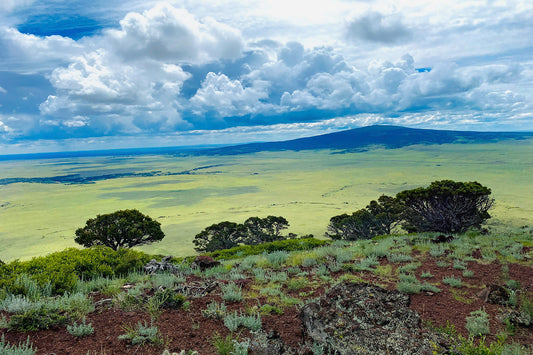 High Plains Rhapsody