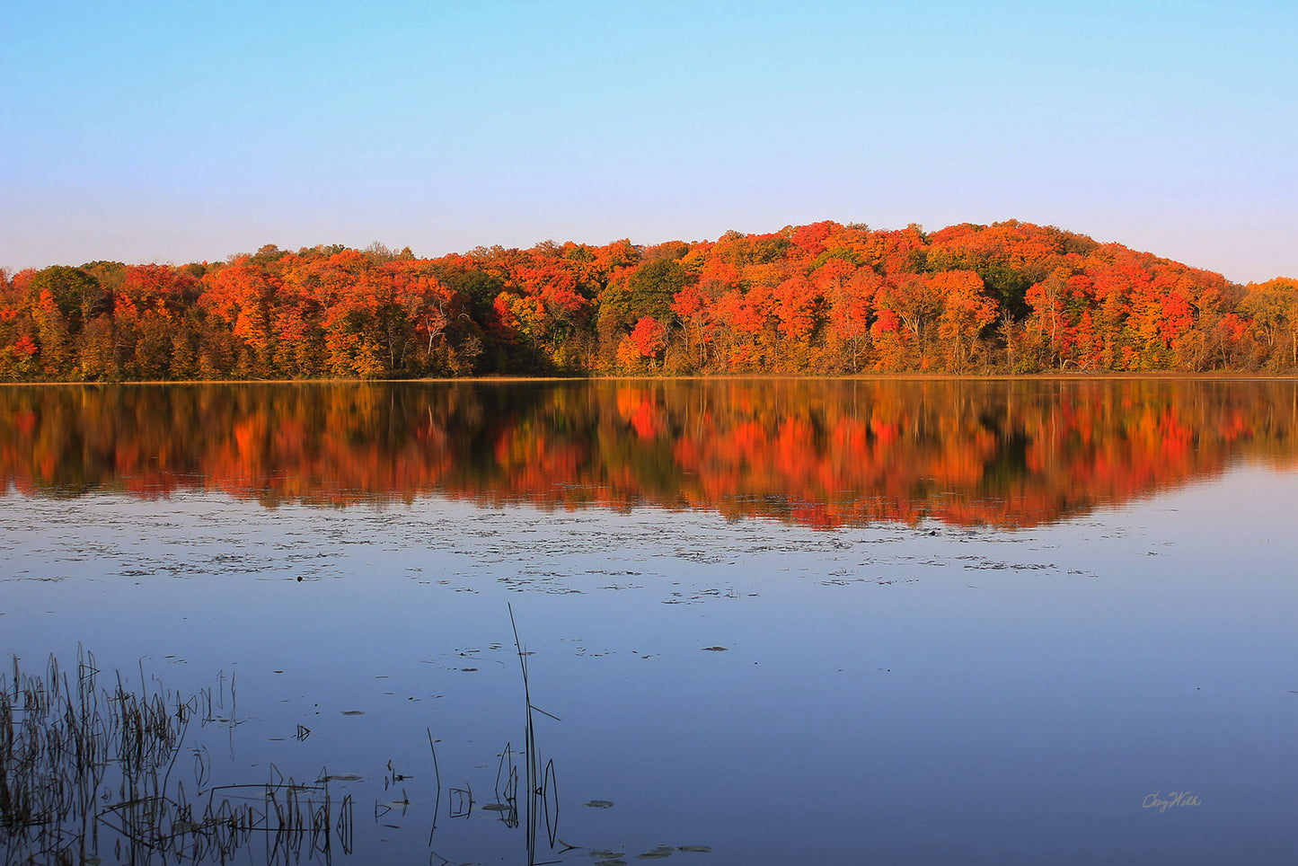 Morning at Maplewood