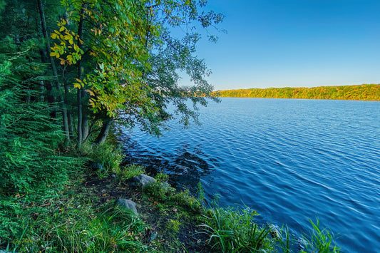 Island on the Chippewa - Star to Star Photography