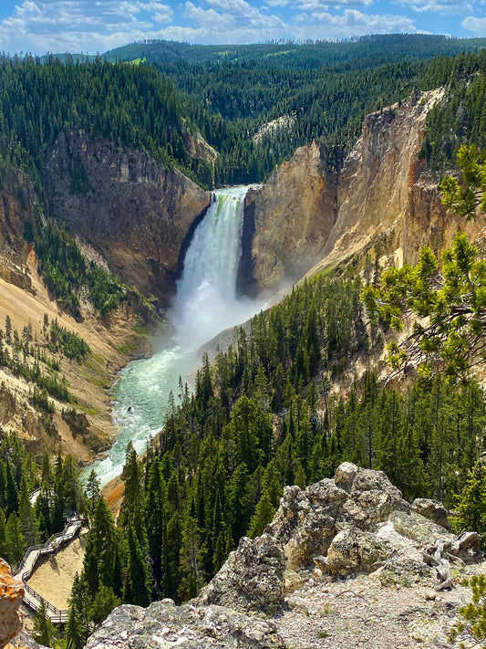 Lower Falls, Yellowstone