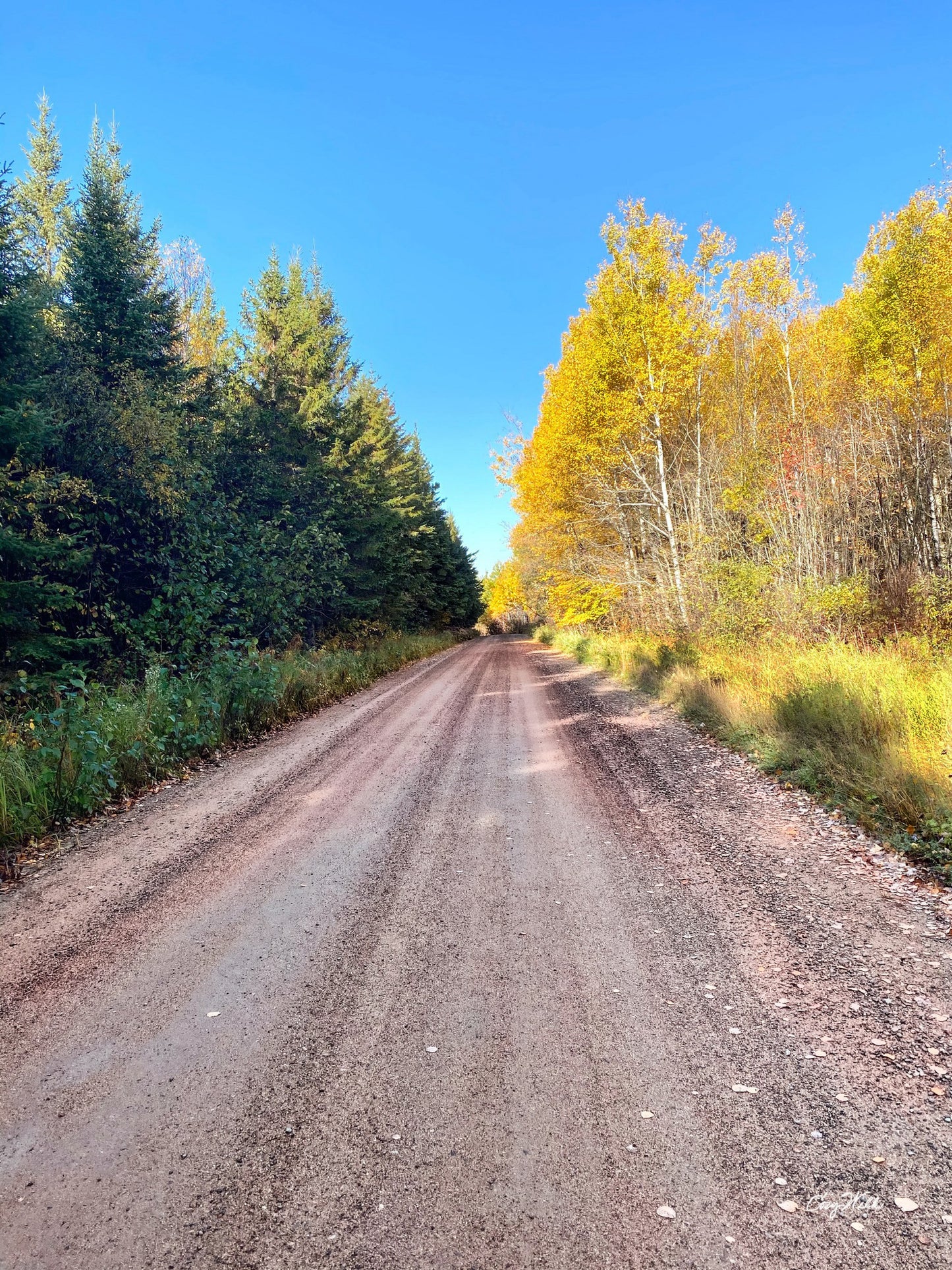 Summer Meets Fall