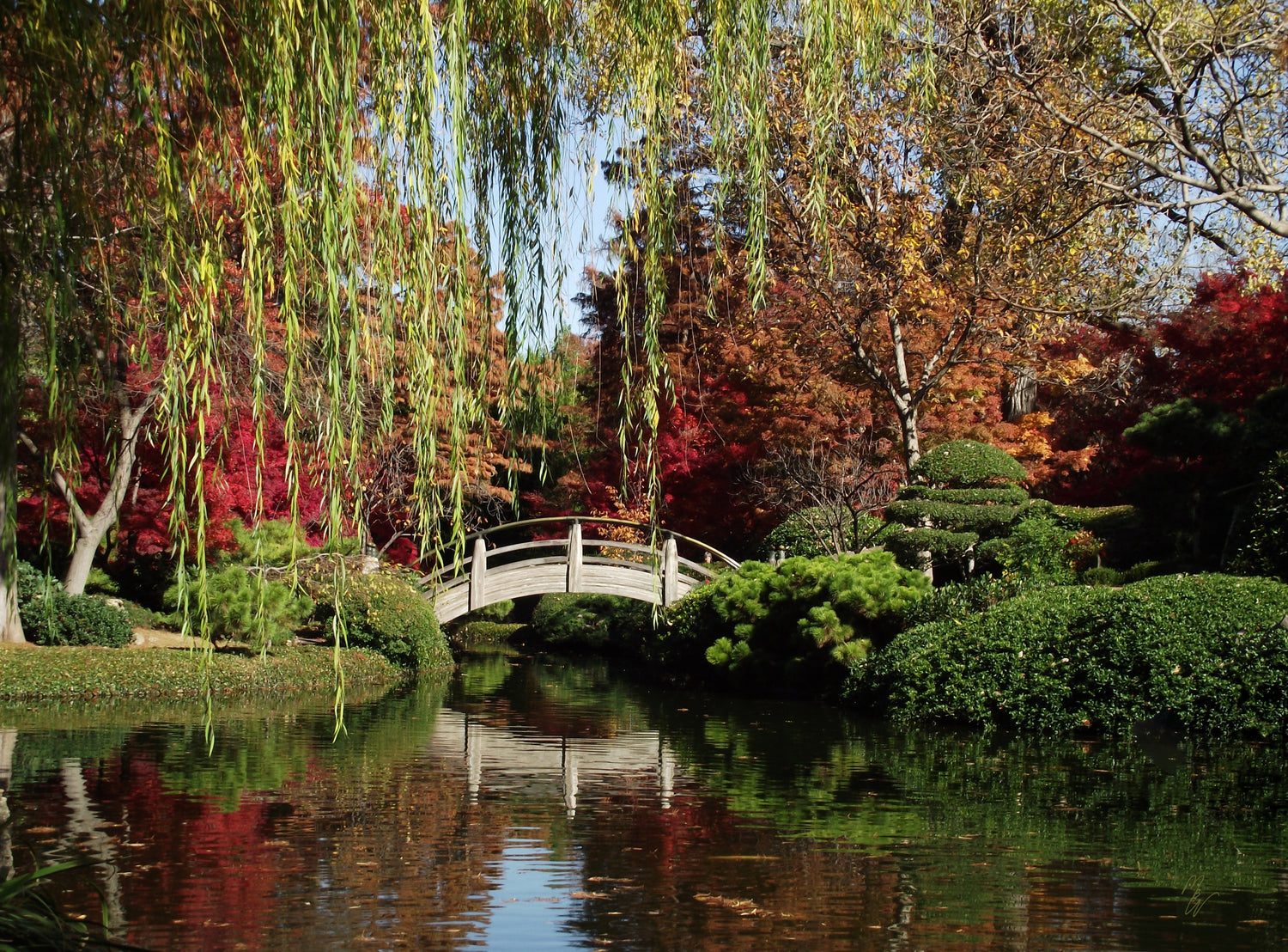 "The Drum Bridge" - Star to Star Photography